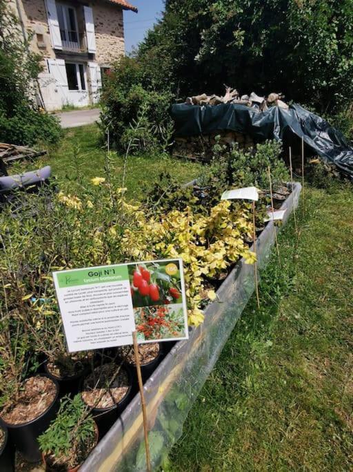 La Grange De Pierrot Villa Saint-Bazile Eksteriør billede